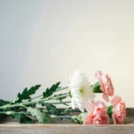 Condolence Messages for Mother Loss 